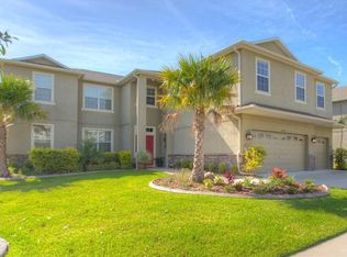 20110 Blue Daze Ave, Tampa, FL 33647