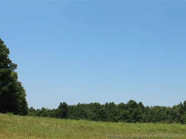 Siler City Glendon Rd, Bear Creek, NC 27207