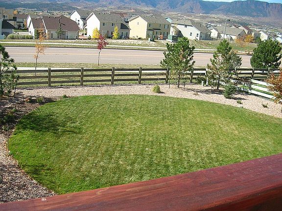 nicely landscaped yard