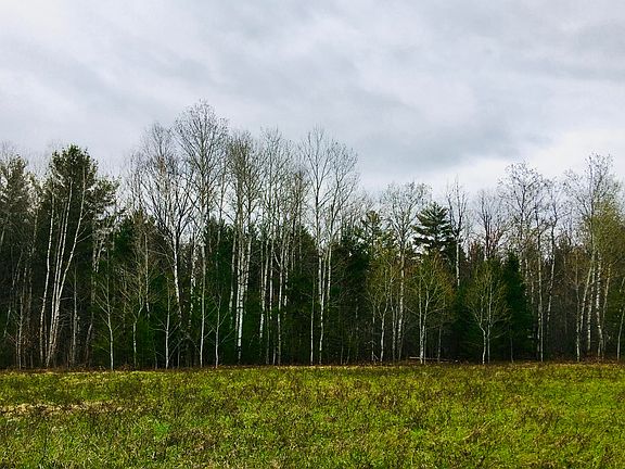 3rd image of 0 Old 27 South 24.89 Acres