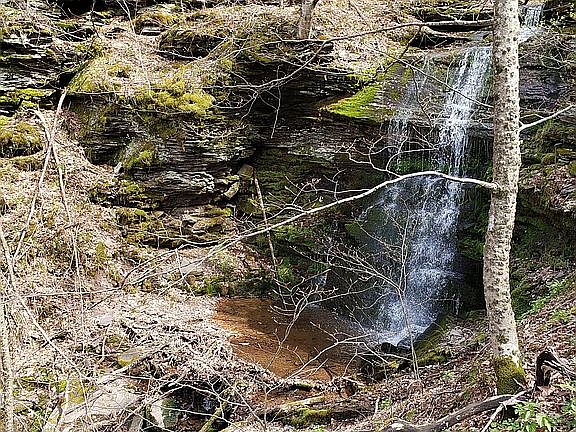 Picture taken from our property