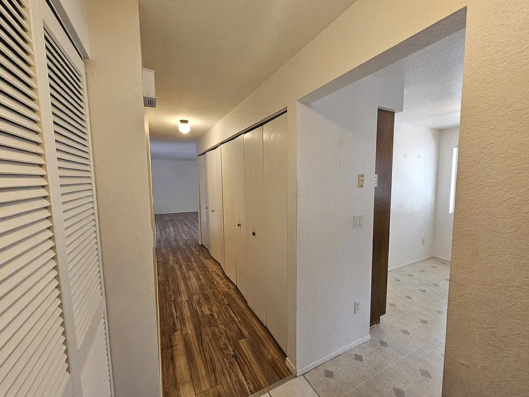 Large closet in entry