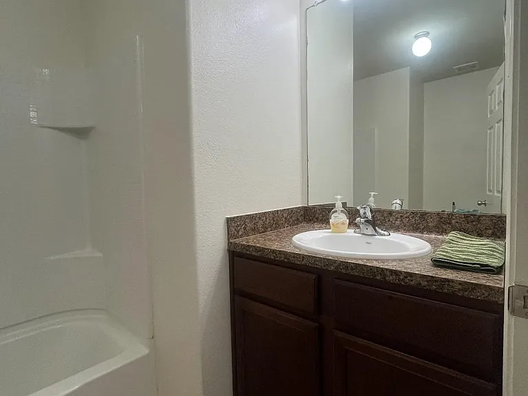 317 Falling Pine Dr — Photo 15