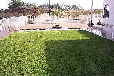 Back  Yard