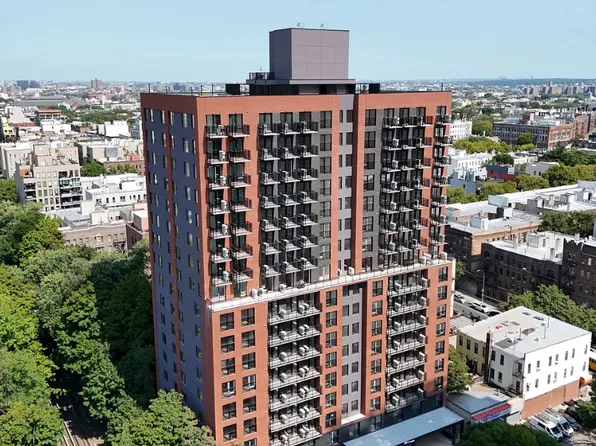 974 Carroll Street image 20 of 30