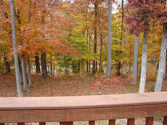 River view from deck