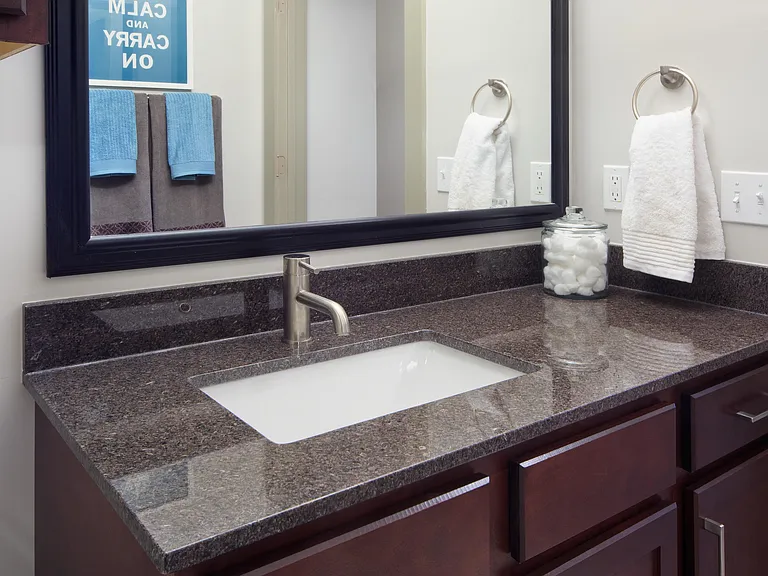 Granite Countertops with Designed Undermount Sinks