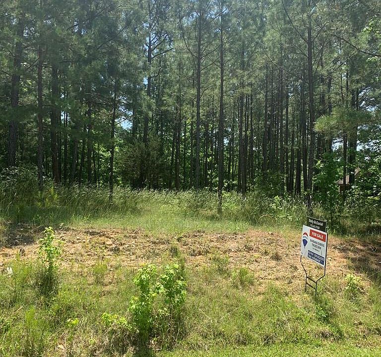 2nd image of 218 Amelia Dr