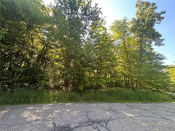 5th image of Curry Ln