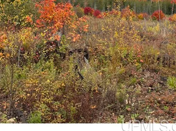 80 Acres Off, Skandia, MI 49885