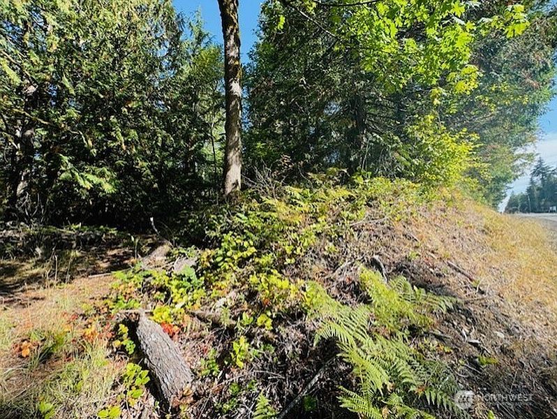 4th image of 0 E Agate Road