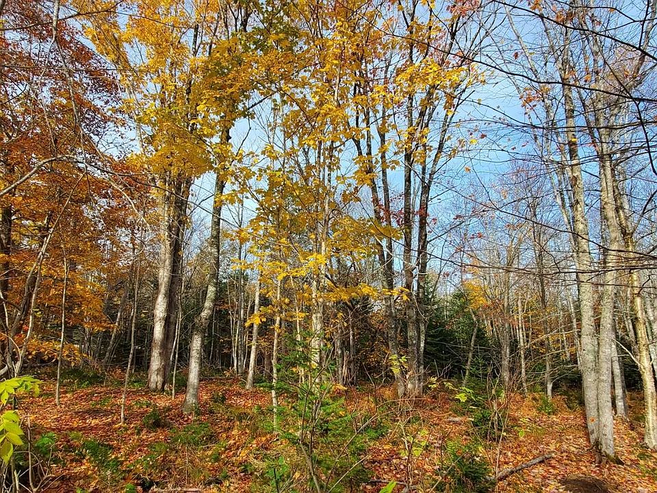 1st image of 125 Cumberland Line Rd