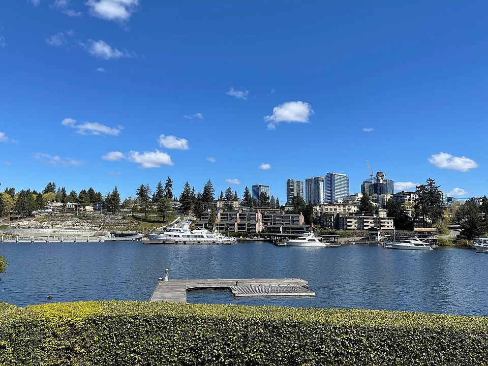 Bellevue downtown View from the house