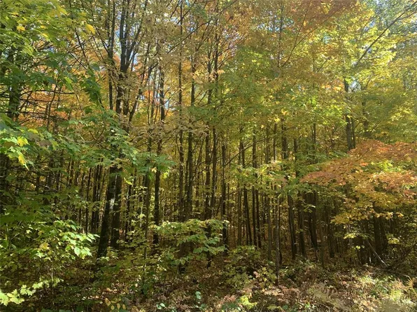 119 +/- A Off Forest Rd 167, Glidden, WI 54527