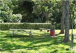 surrounding park area