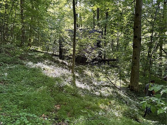 2nd image of 1492 Big Creek Rd