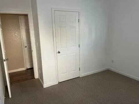3856 Purple Finch Ln — Photo 11