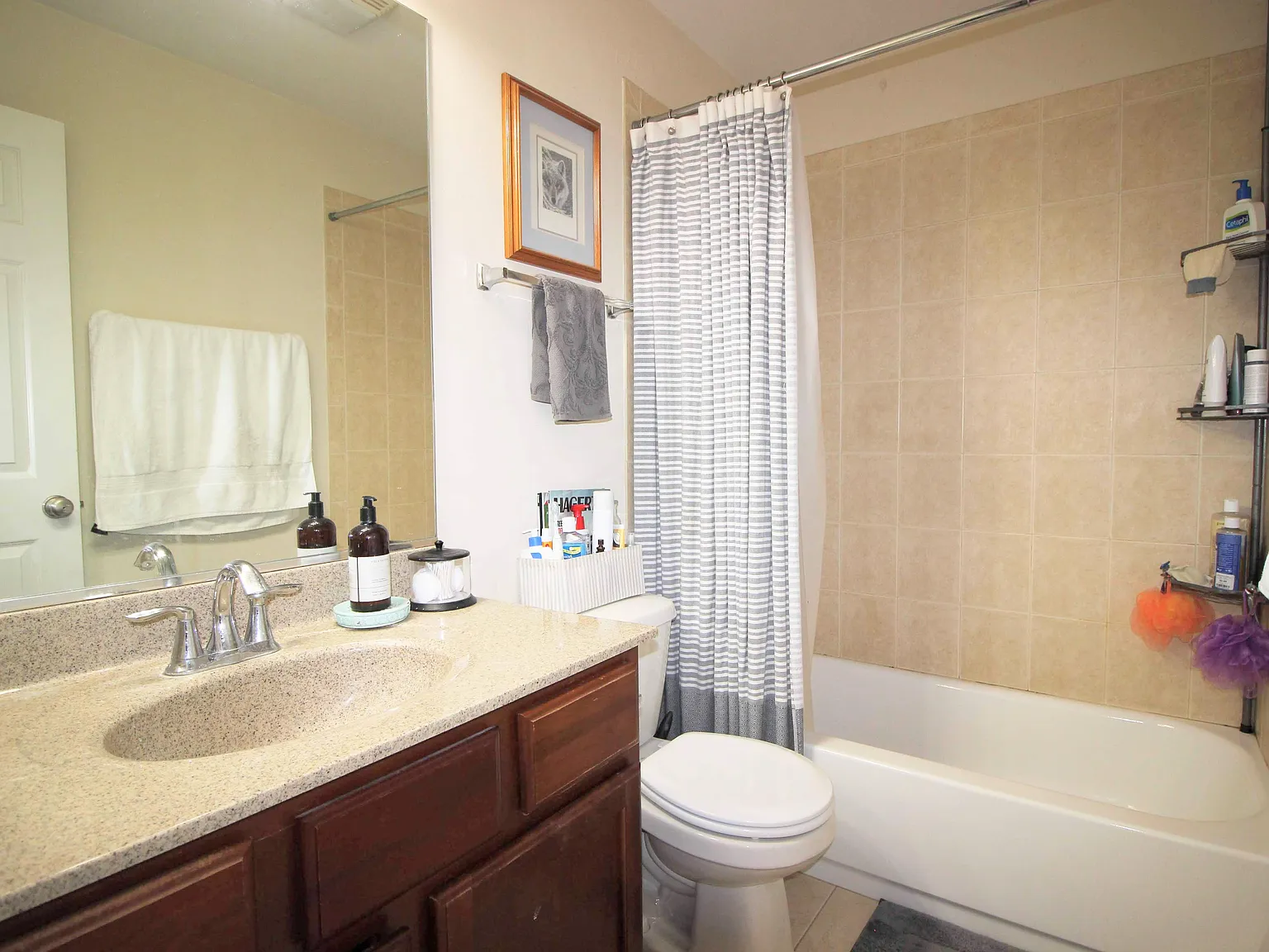 2 bed, 1050 sqft, $1,895 — Photo 4