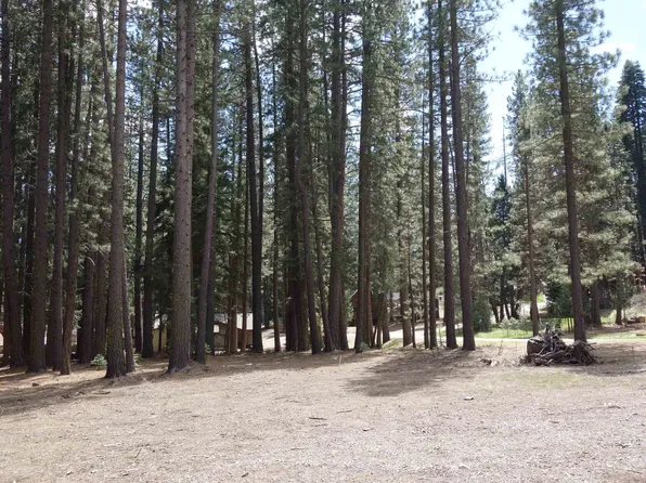 14 Evergreen Cir, Blairsden, CA 96103