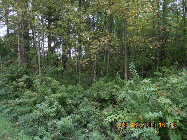 1st image of 0 115th Av Ct E