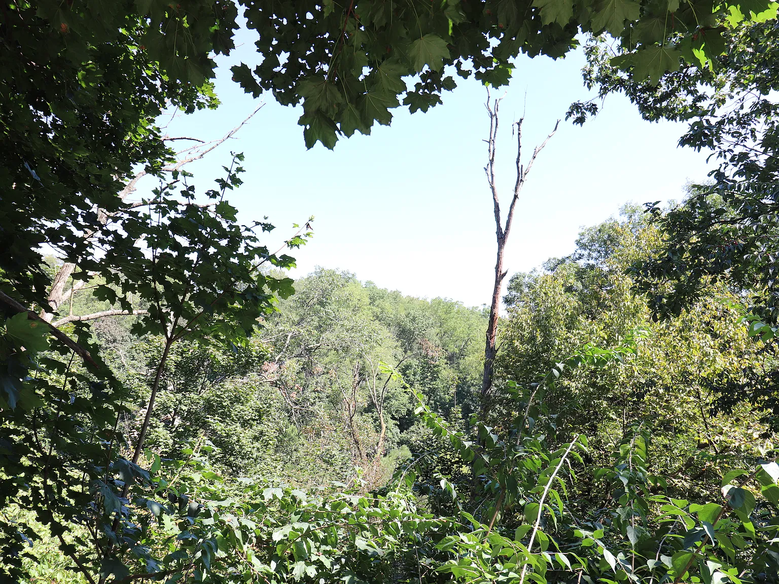 1 bed, $1,350 — Photo 3