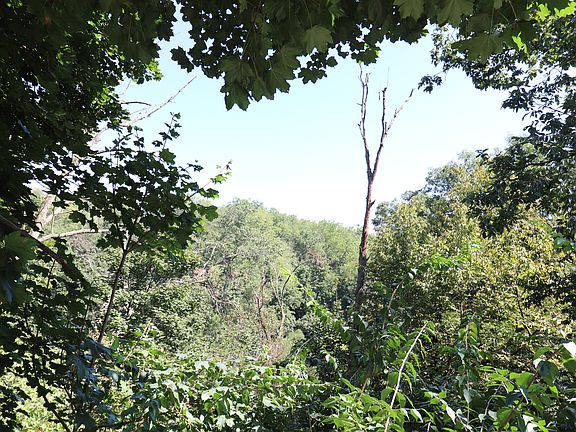 3rd image of 699 Indian Run Rd