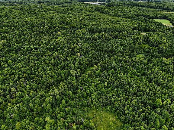 2nd image of 20 Acres Adams Road