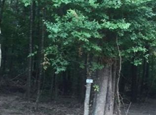 LOT 127 Gunboat Landing Rd, Maurepas, LA 70449