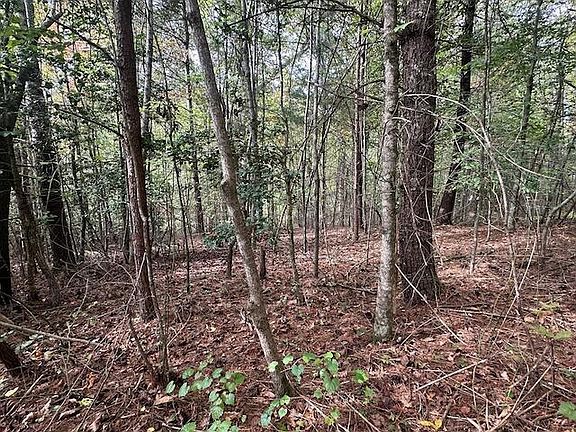 3rd image of LOT 15 Pine Grove Dr