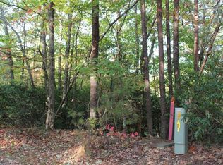 LT 65 Buena Vista Dr, Ellijay, GA 30536