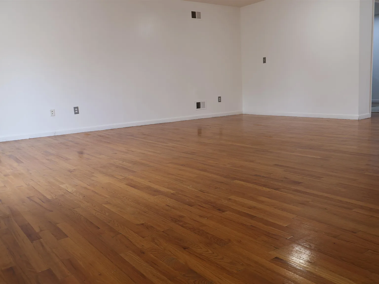 3 bed, 2.0 bath, $3,500 — Photo 2