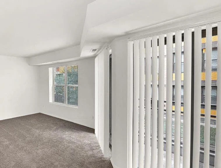 Large Windows and Private Balconies