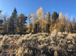 255 Antelope Rd, Leadville, CO 80461