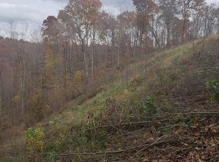 2734 Millers Run Fallen Timber Rd, Lucasville, OH 45648