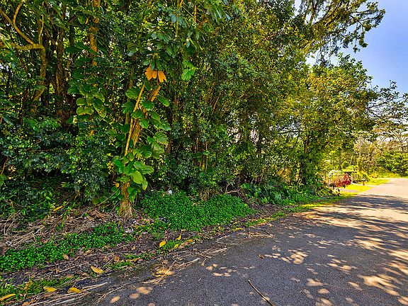 5th image of Kumu St