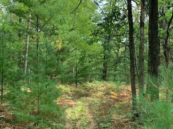 Lots 8 & 9 County Road J, Neillsville, WI 54456