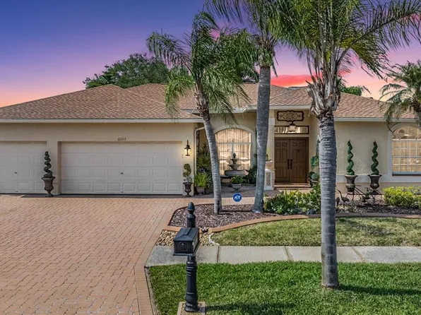 11203 BLOOMINGTON DRIVE, TAMPA, FL 33635