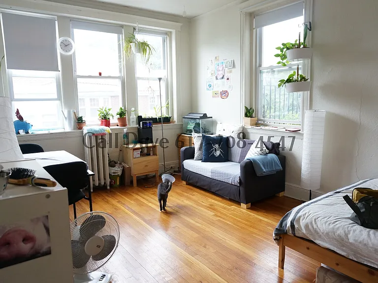 1800 Commonwealth Ave #14 — Photo 11
