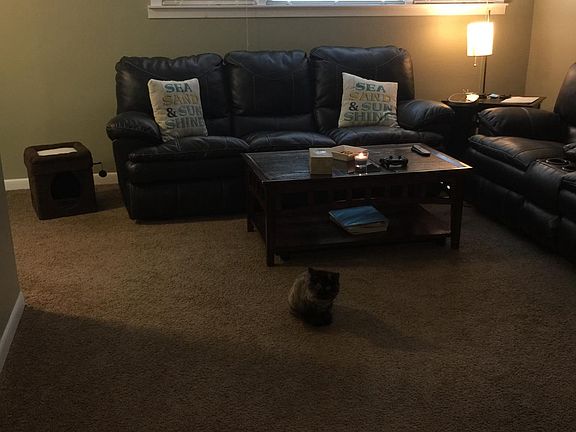 4th image of 9457 Kelvin Ln APT 2662