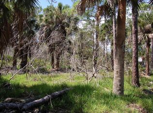 273 Southwest Ave, Steinhatchee, FL 32359