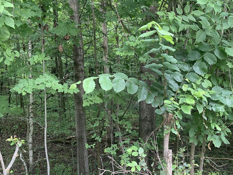 2nd image of 0 Riley Rd