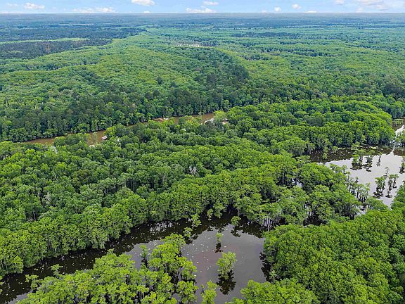 4th image of Pine Island Rd