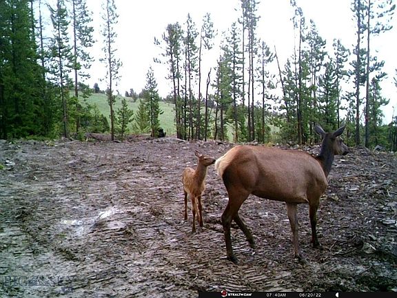 3rd image of Anna Indian Creek Rd