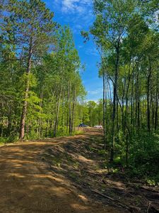 Ridgeway Ln, Walker, MN, 56484