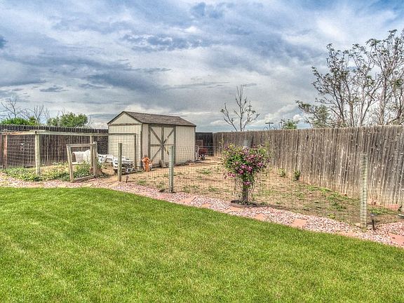 back yard