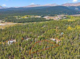401 Willow Ln, Alma, CO 80420