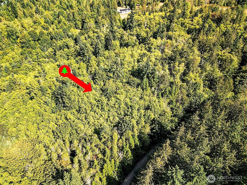3rd image of 9999 Ripplebrook Drive