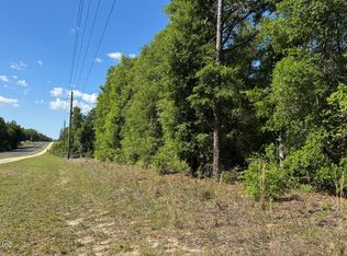 0010 S COUNTY RD 315, Interlachen, FL 32148