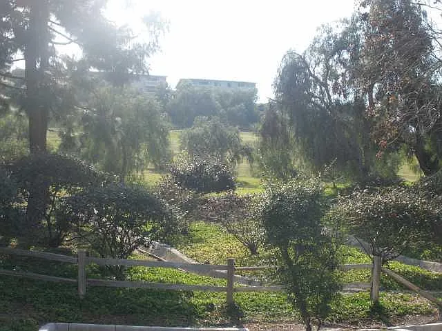 4220 Vista Del Rio Way #4 — Photo 2