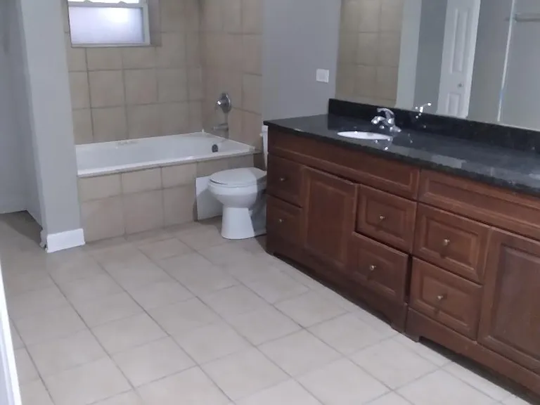Lower Level Bathroom Suite